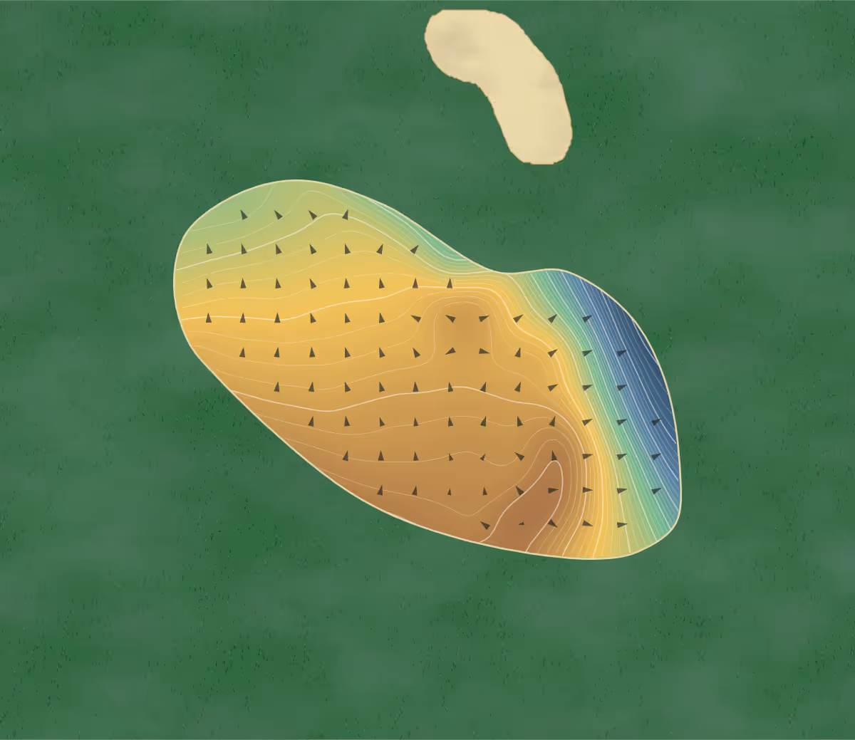 Green contour map of Dunany in Lachute, Canada — 156 elevation contours at a 8-centimeter interval with fall-line arrows, traced from 1-meter lidar
