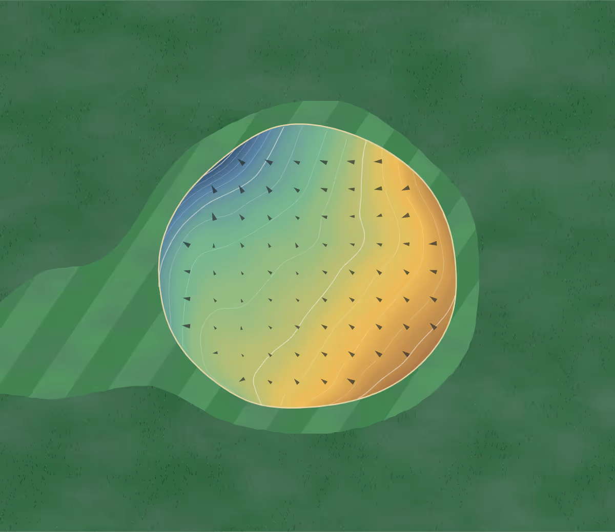 Green contour map of Duncan Hills in Savannah, Missouri: 173 elevation contours at a 3-inch interval with fall-line arrows, traced from 1-meter lidar