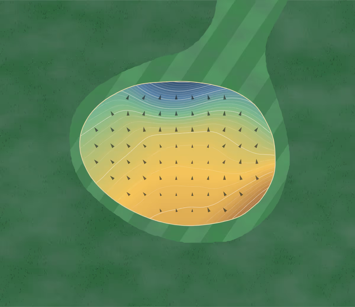 Green contour map of Dundee GC in Dundee, Canada: 295 elevation contours at a 8-centimeter interval with fall-line arrows, traced from 1-meter lidar
