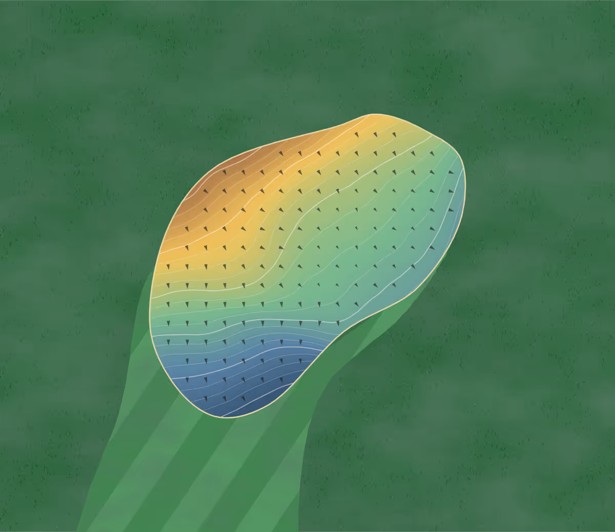 Green contour map of Dungannon in Dungannon, Northern Ireland: 21 elevation contours at a 8-centimeter interval with fall-line arrows, traced from 1-meter lidar