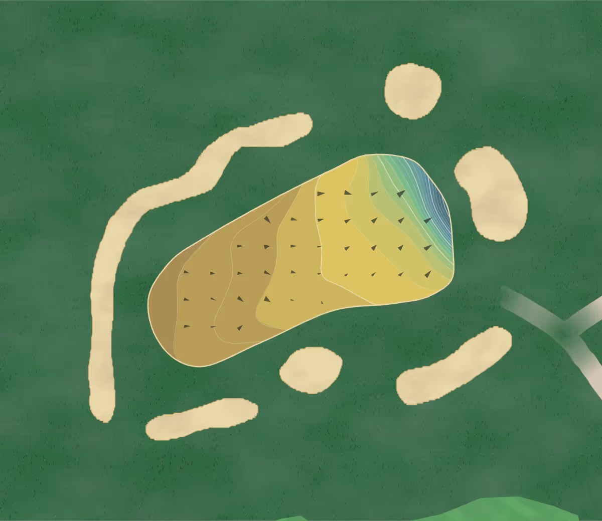 Green contour map of Dunstable Downs in Dunstable, England — 257 elevation contours at a 8-centimeter interval with fall-line arrows, traced from 1-meter lidar