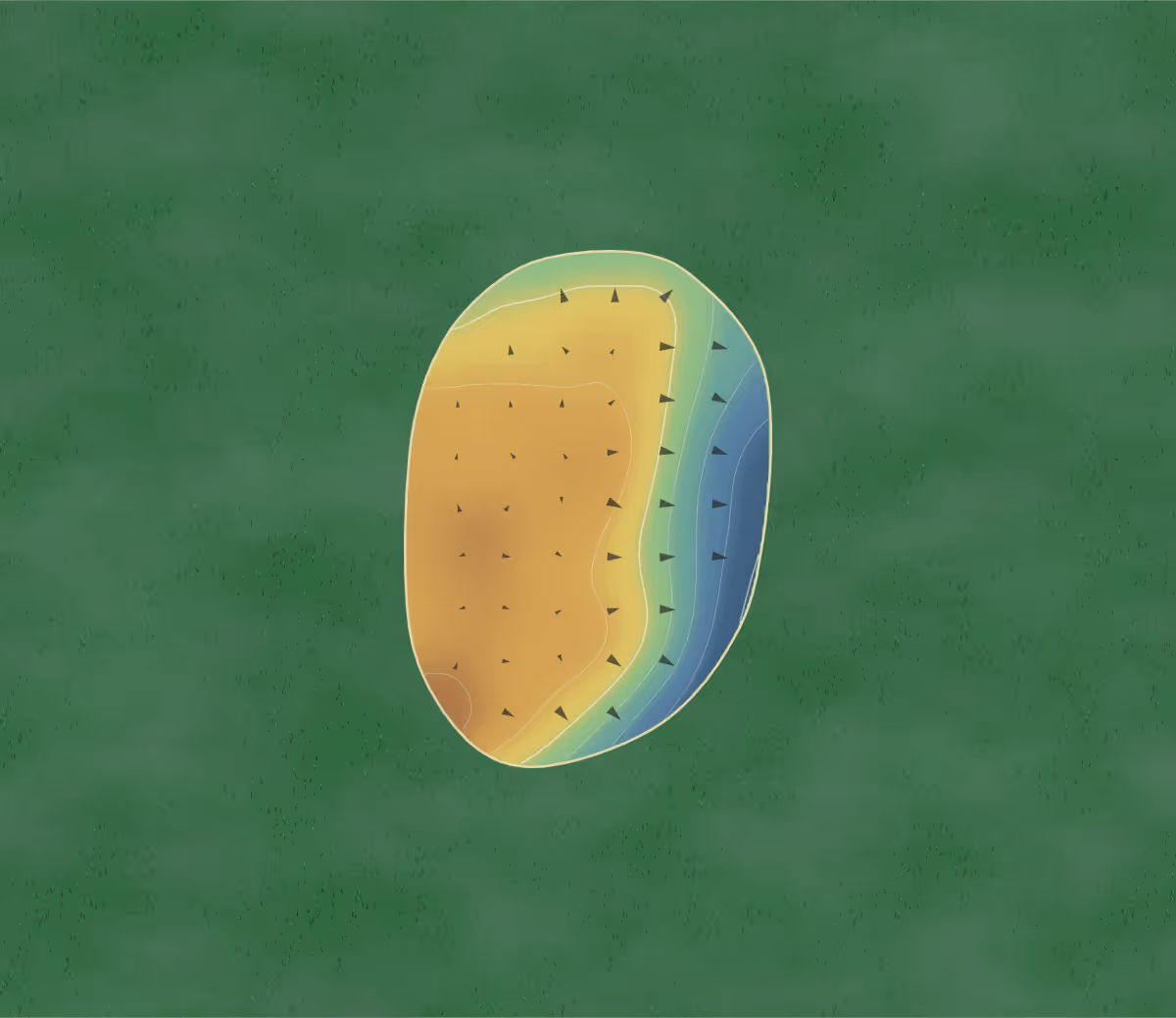 Green contour map of Durham Golf in Oshawa, Canada: 18 elevation contours at a 8-centimeter interval with fall-line arrows, traced from 1-meter lidar