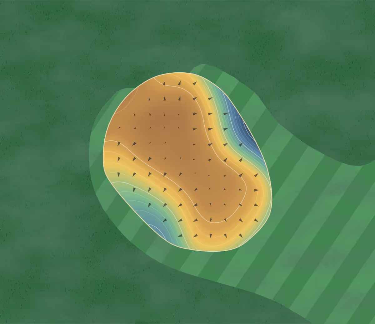 Green contour map of Dutton Meadows in Dutton, Canada: 72 elevation contours at a 8-centimeter interval with fall-line arrows, traced from 1-meter lidar