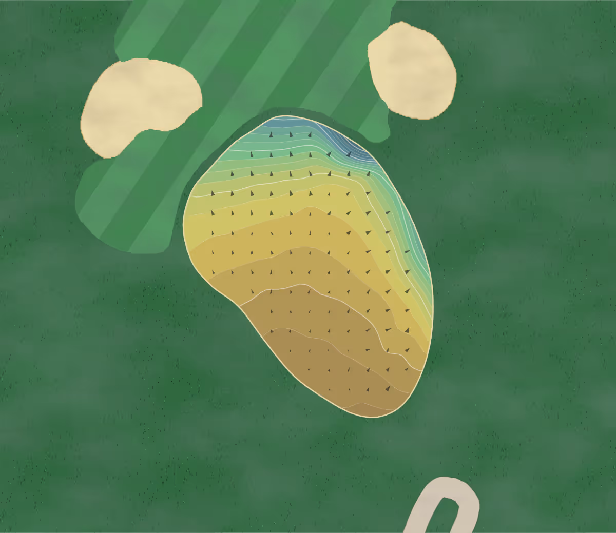 Green contour map of Duxbury Park in Chorley, England — 210 elevation contours at a 8-centimeter interval with fall-line arrows, traced from 1-meter lidar
