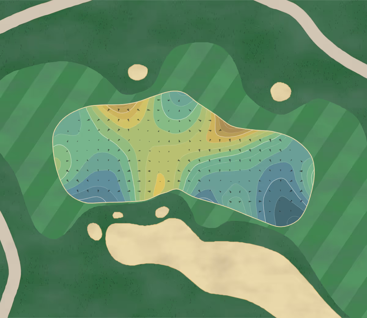 Green contour map of Eagle Eye in Bath, Michigan — 220 elevation contours at a 3-inch interval with fall-line arrows, traced from 1-meter lidar