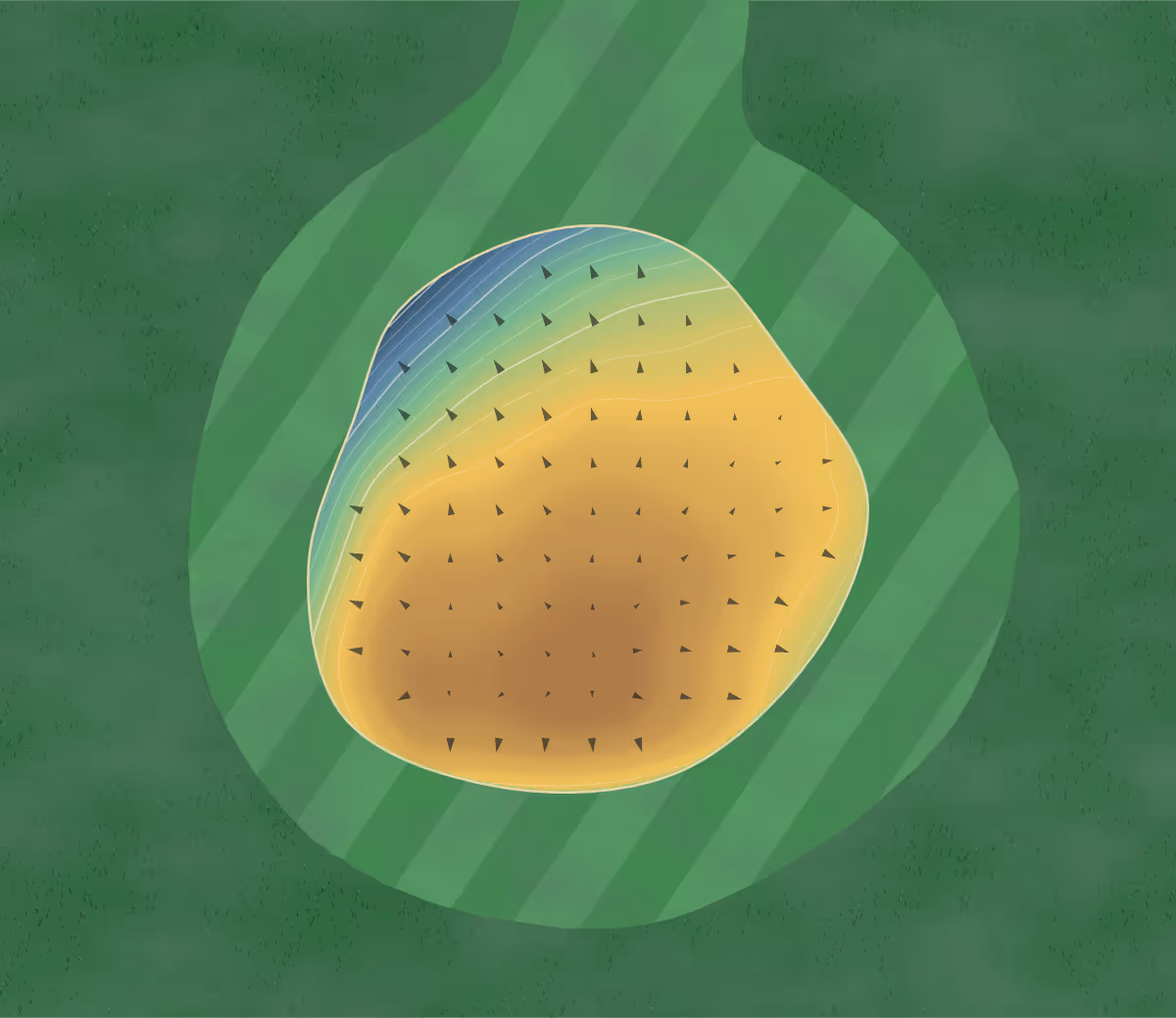 Green contour map of Eagle Grove in Eagle Grove, Iowa — 79 elevation contours at a 3-inch interval with fall-line arrows, traced from 1-meter lidar