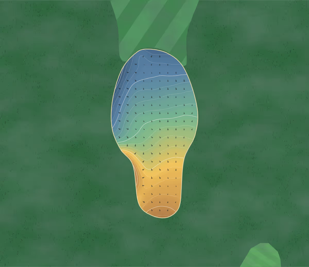 Green contour map of Eagle Rock in Millet, Canada: 202 elevation contours at a 8-centimeter interval with fall-line arrows, traced from 1-meter lidar
