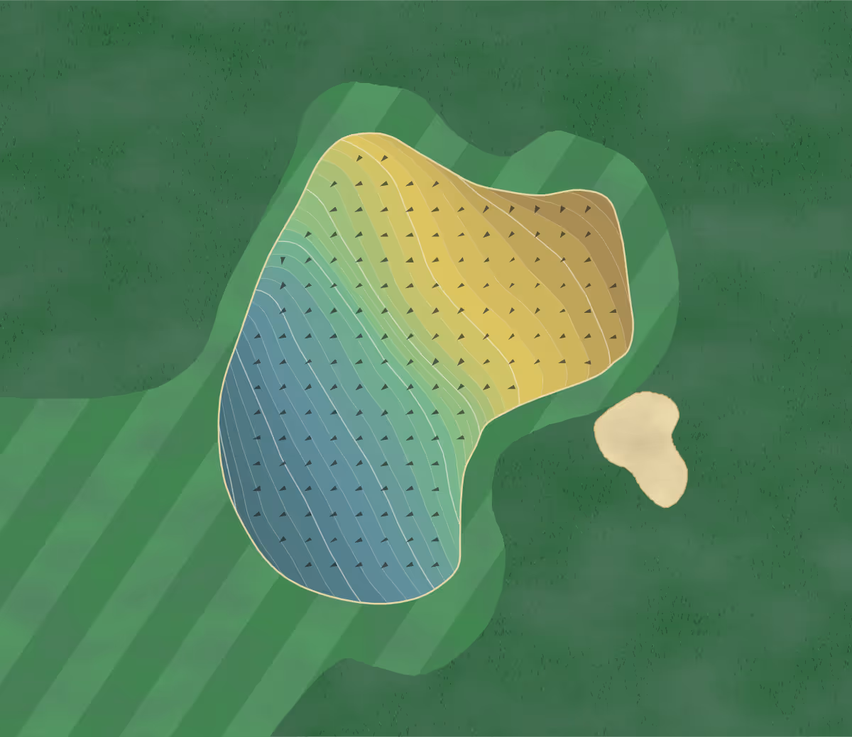 Green contour map of Eagle Landing in Ripley, Minnesota — 352 elevation contours at a 3-inch interval with fall-line arrows, traced from 1-meter lidar