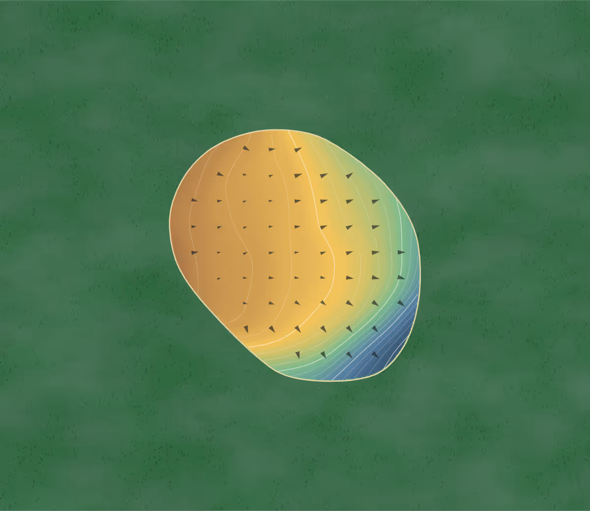 Green contour map of Eagle View in Park Rapids, Minnesota: 84 elevation contours at a 3-inch interval with fall-line arrows, traced from 1-meter lidar