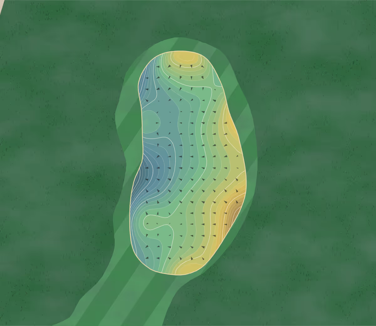 Green contour map of Eagle Watch in Woodstock, Georgia — 313 elevation contours at a 3-inch interval with fall-line arrows, traced from 1-meter lidar