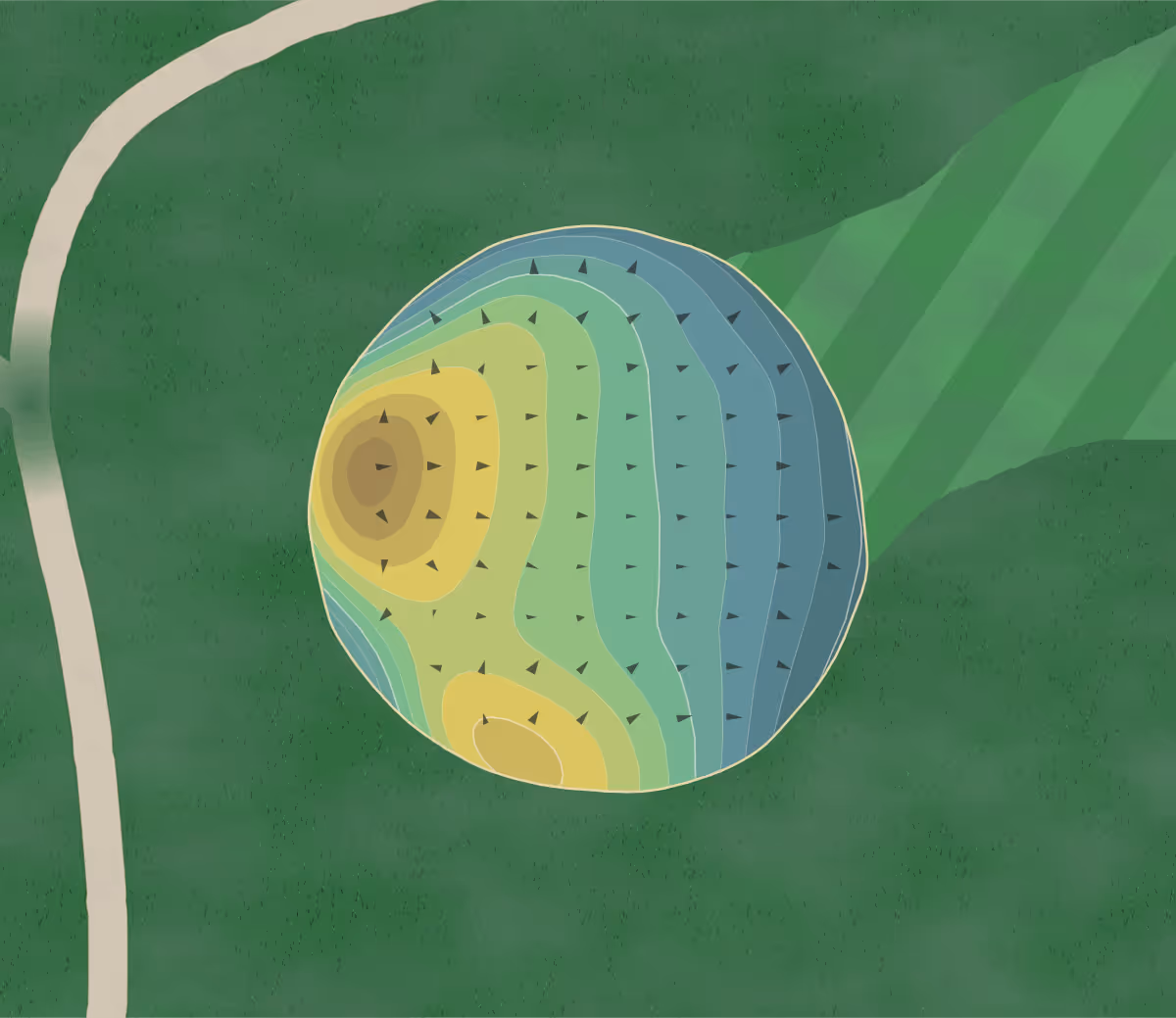 Green contour map of Eagles Nest in Loveland, Ohio — 218 elevation contours at a 3-inch interval with fall-line arrows, traced from 1-meter lidar