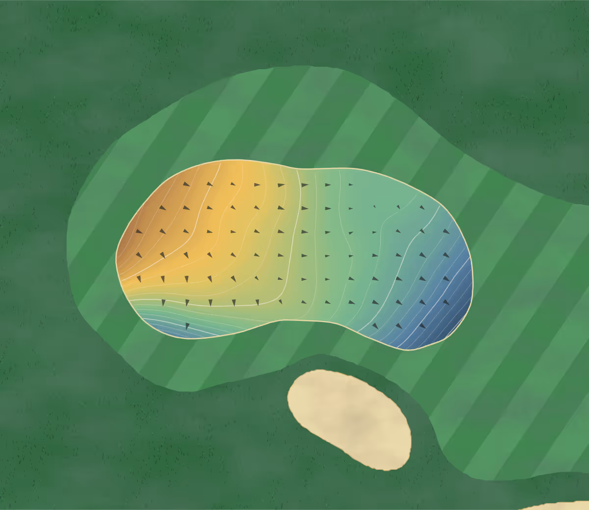 Green contour map of Eagles Nest in Maple, Canada — 189 elevation contours at a 8-centimeter interval with fall-line arrows, traced from 1-meter lidar