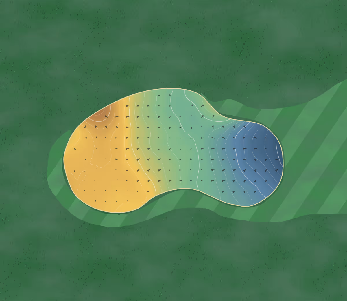 Green contour map of Eaton in Chester, England — 185 elevation contours at a 8-centimeter interval with fall-line arrows, traced from 1-meter lidar