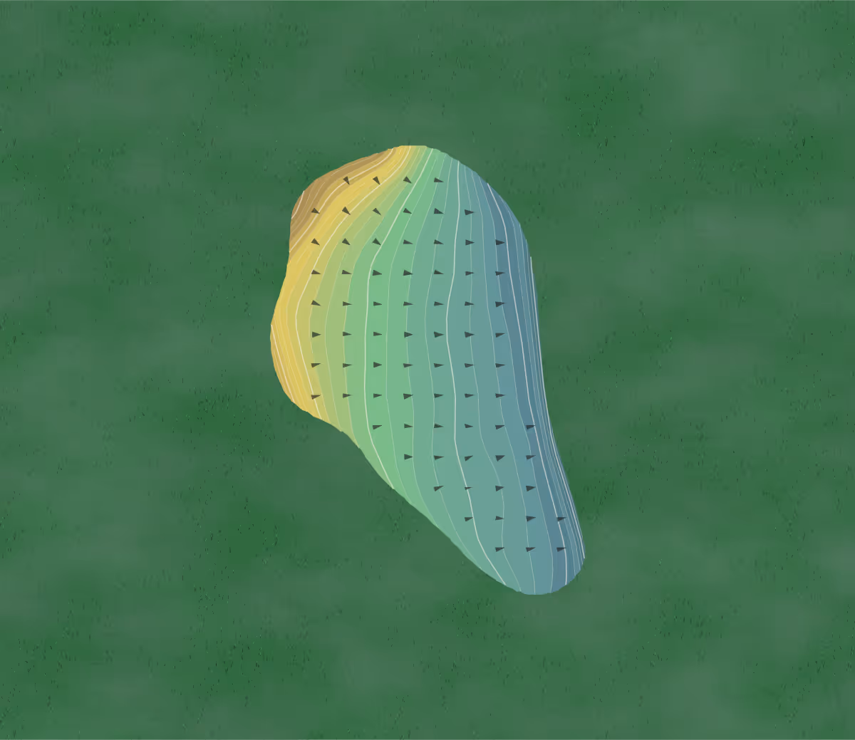 Green contour map of Echo Valley Golf Club in Wellington, Ohio — 226 elevation contours at a 3-inch interval with fall-line arrows, traced from 1-meter lidar