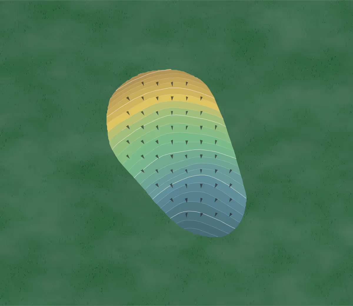 Green contour map of Edelweiss Chalet in New Glarus, Wisconsin — 214 elevation contours at a 3-inch interval with fall-line arrows, traced from 1-meter lidar
