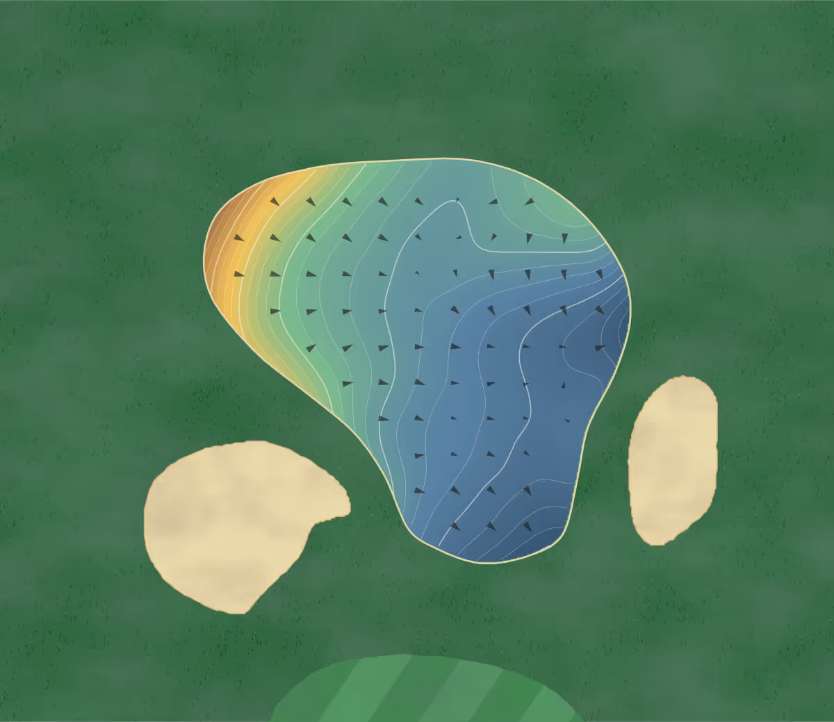 Green contour map of Eden Gardens in Eden, Australia — 176 elevation contours at a 8-centimeter interval with fall-line arrows, traced from 1-meter lidar