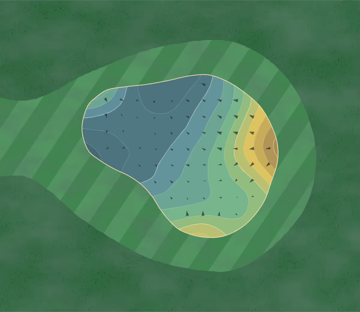 Green contour map of Edgewood Park in McNabb, Illinois — 142 elevation contours at a 3-inch interval with fall-line arrows, traced from 1-meter lidar