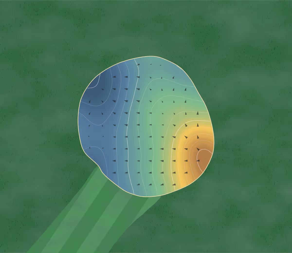 Green contour map of Elbel Park in South Bend, Indiana — 142 elevation contours at a 3-inch interval with fall-line arrows, traced from 1-meter lidar