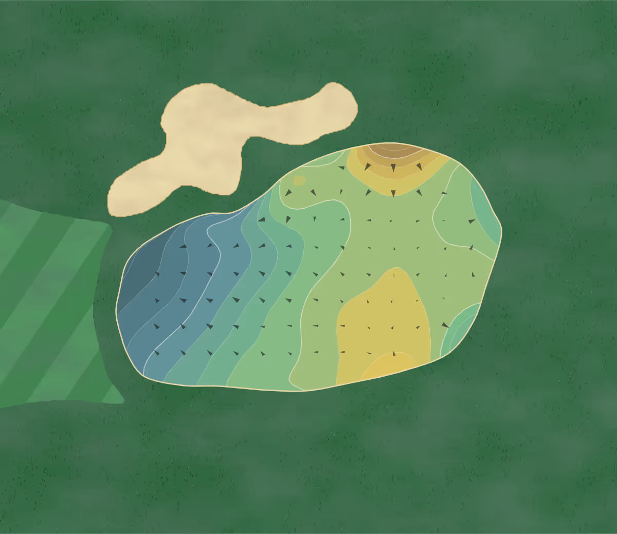 Green contour map of Elephant Rocks in Williams, Arizona — 214 elevation contours at a 3-inch interval with fall-line arrows, traced from 1-meter lidar