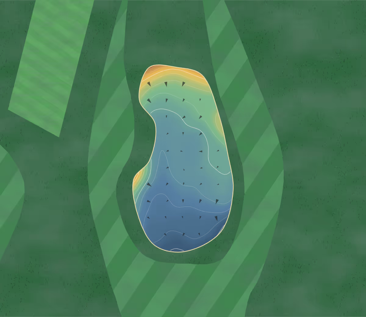 Green contour map of Emerald in Emerald, Australia — 143 elevation contours at a 8-centimeter interval with fall-line arrows, traced from 1-meter lidar