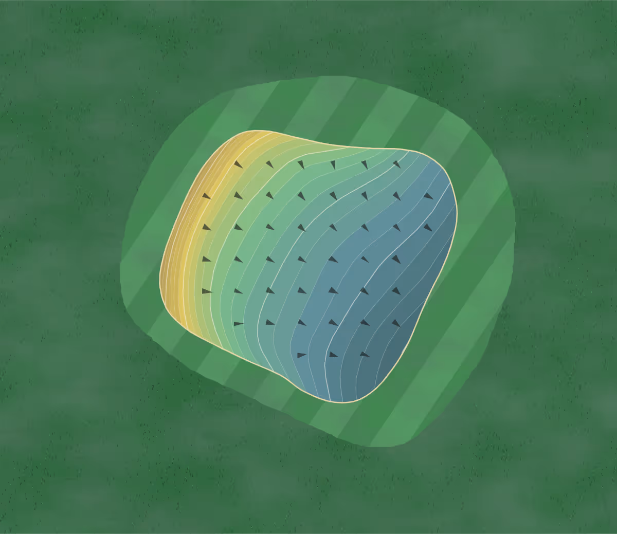 Green contour map of Emerald Isle in Oceanside, California — 246 elevation contours at a 3-inch interval with fall-line arrows, traced from 1-meter lidar