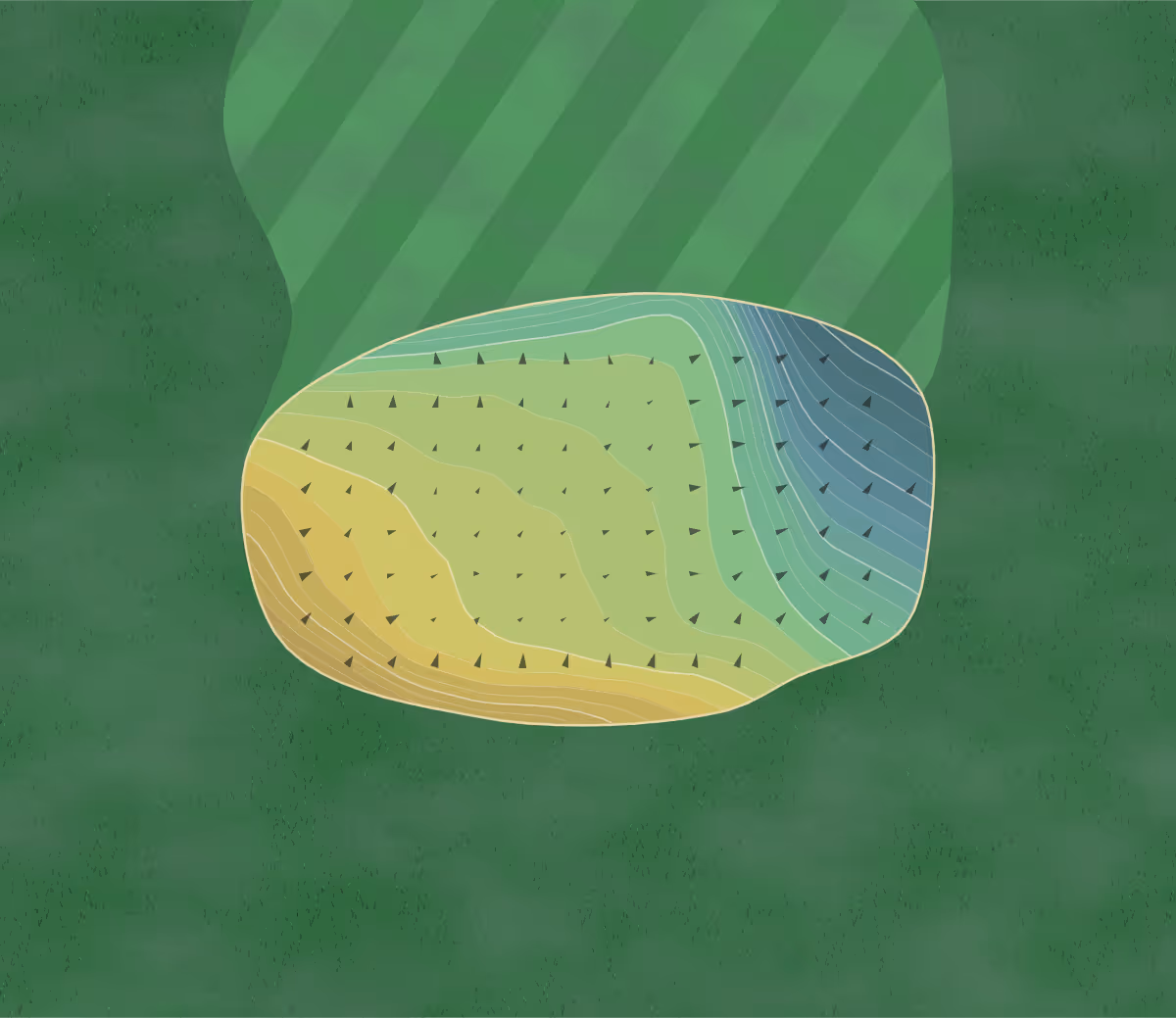 Green contour map of Enmore Park in Somerset, England — 238 elevation contours at a 8-centimeter interval with fall-line arrows, traced from 1-meter lidar