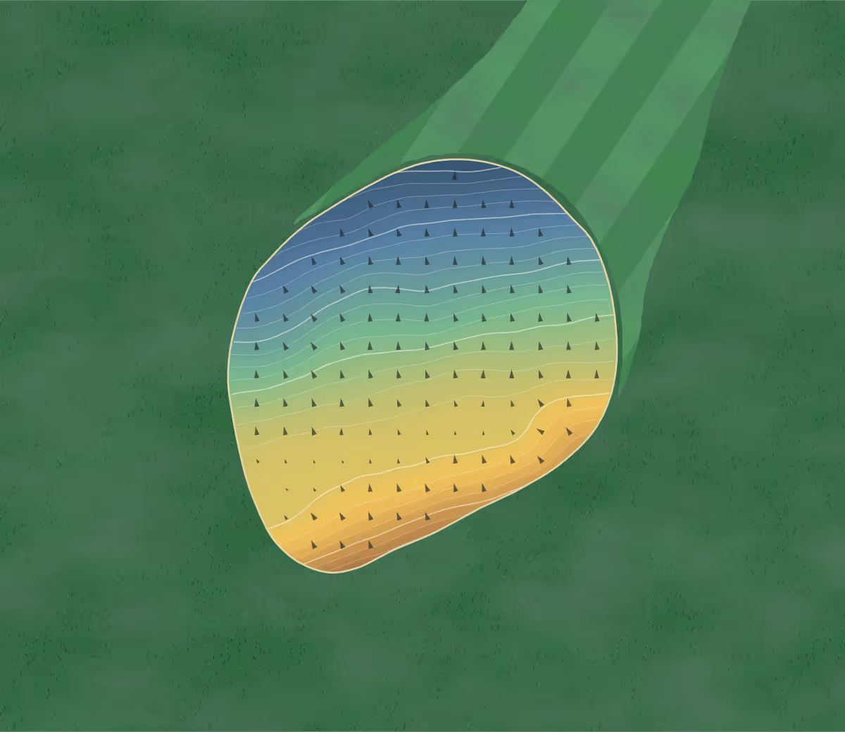 Green contour map of Epsom Downs in Epsom, England: 161 elevation contours at a 8-centimeter interval with fall-line arrows, traced from 1-meter lidar