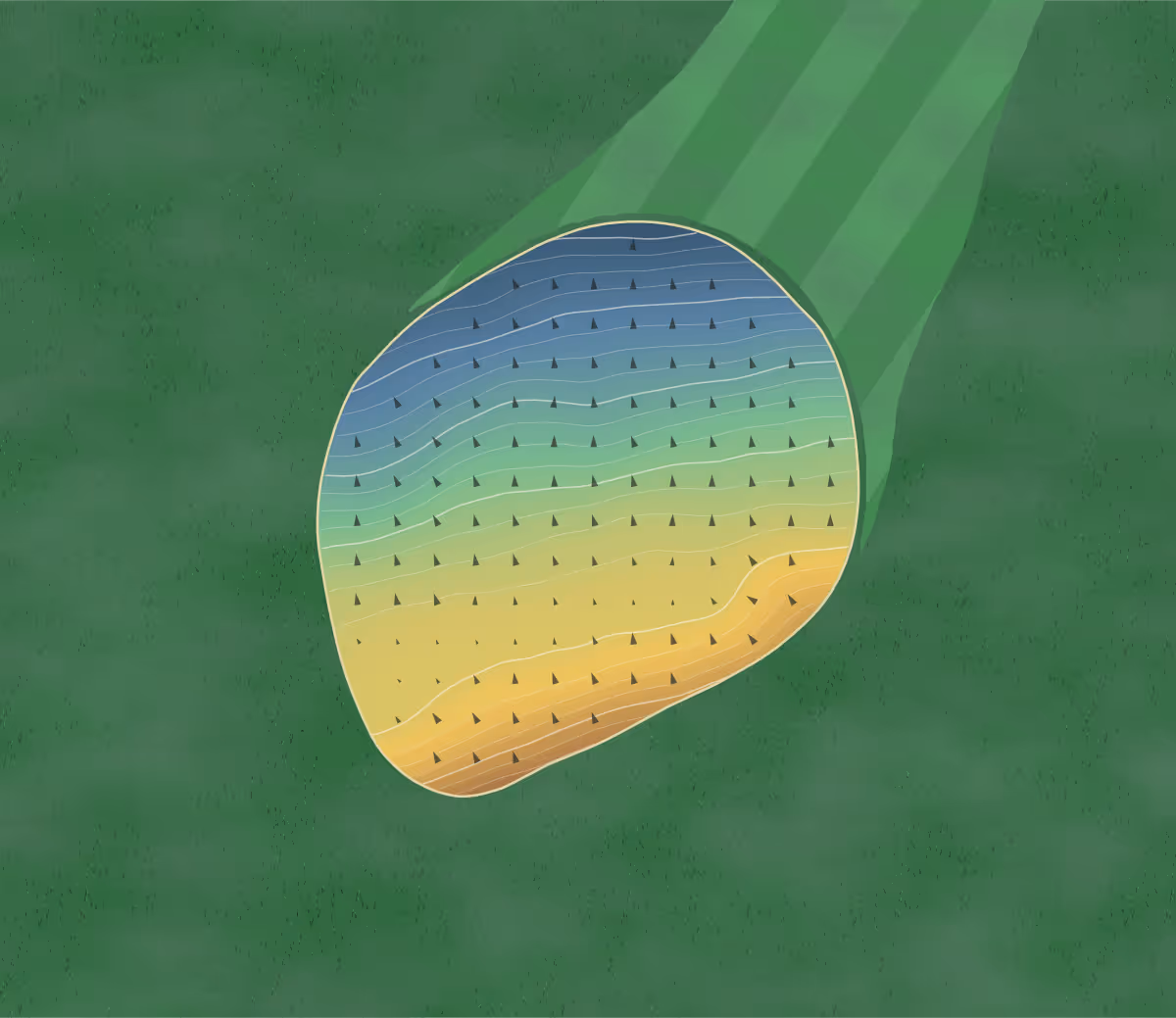 Green contour map of Epsom Downs in Epsom, England — 42 elevation contours at a 8-centimeter interval with fall-line arrows, traced from 1-meter lidar