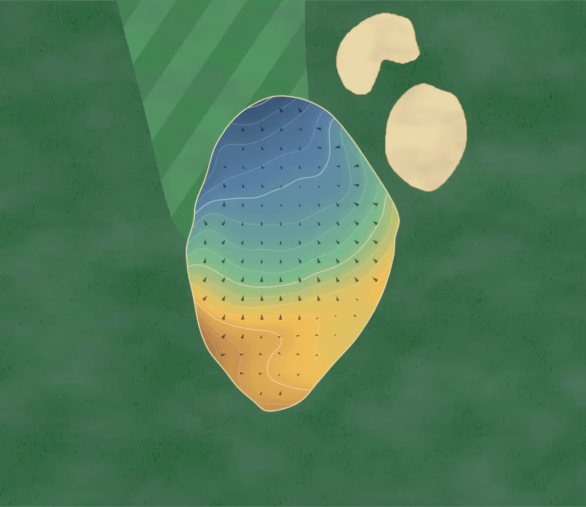 Green contour map of Equinelle in Kemptville, Canada — 15 elevation contours at a 8-centimeter interval with fall-line arrows, traced from 1-meter lidar