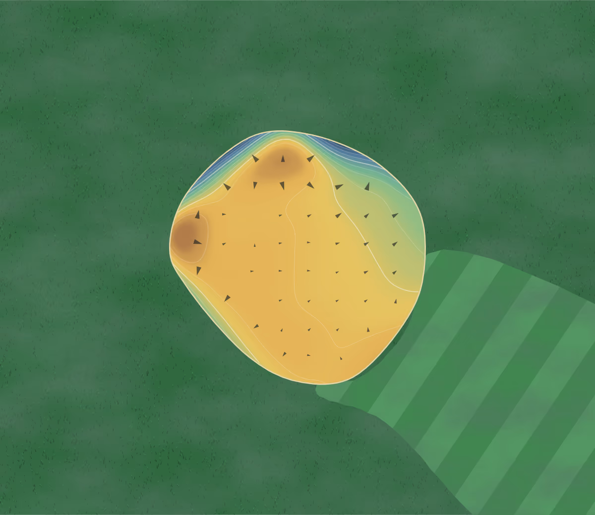 Green contour map of Erie Golf Club in Erie, Pennsylvania: 196 elevation contours at a 3-inch interval with fall-line arrows, traced from 1-meter lidar