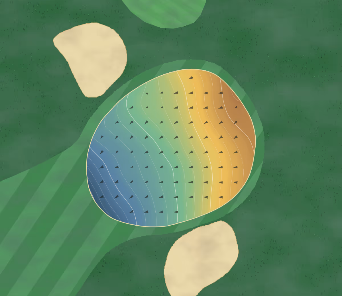 Green contour map of Erskine Park in South Bend, Indiana — 222 elevation contours at a 3-inch interval with fall-line arrows, traced from 1-meter lidar