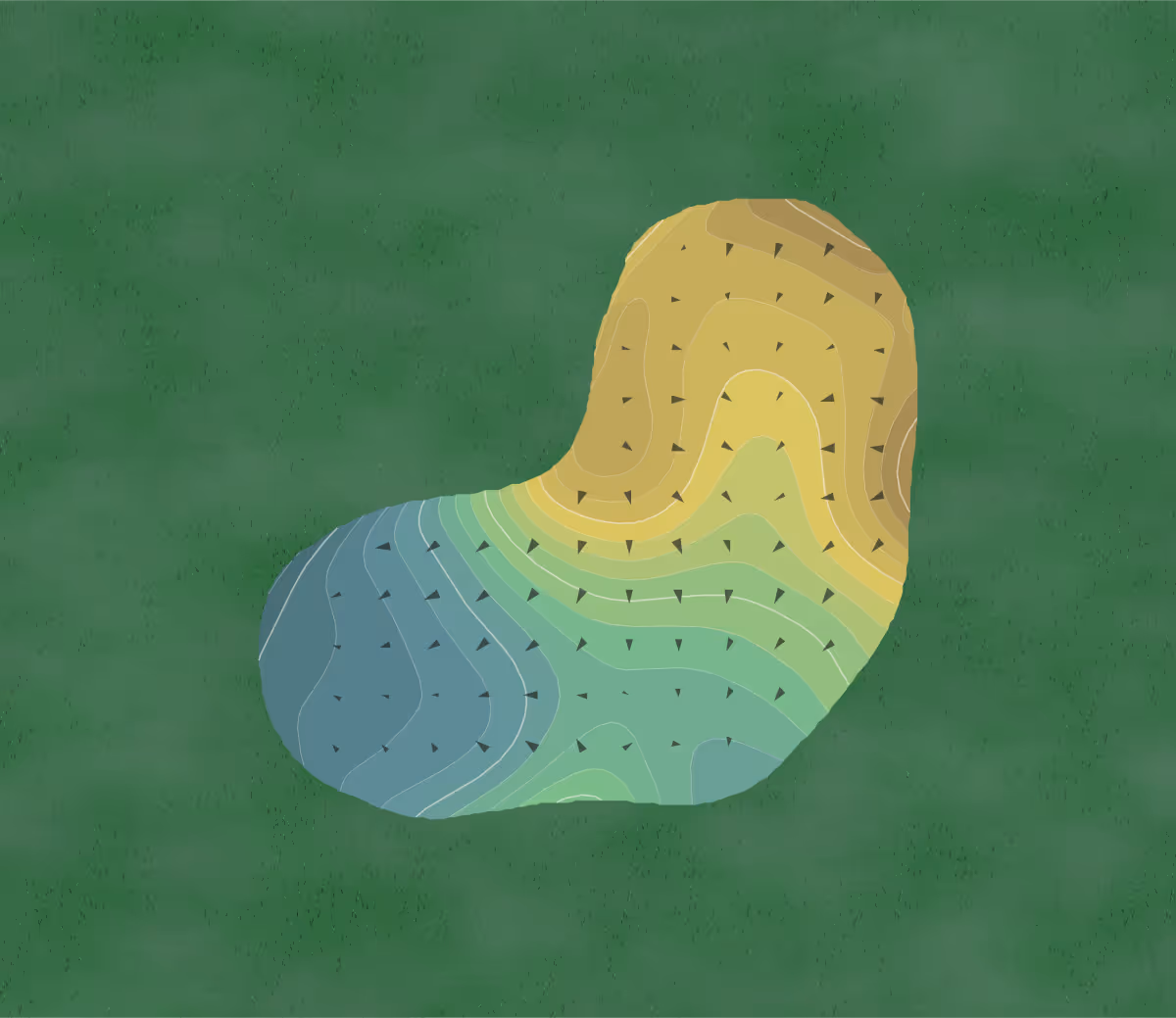 Green contour map of Esplanade at Azario in Lakewood Ranch, Florida — 214 elevation contours at a 3-inch interval with fall-line arrows, traced from 1-meter lidar
