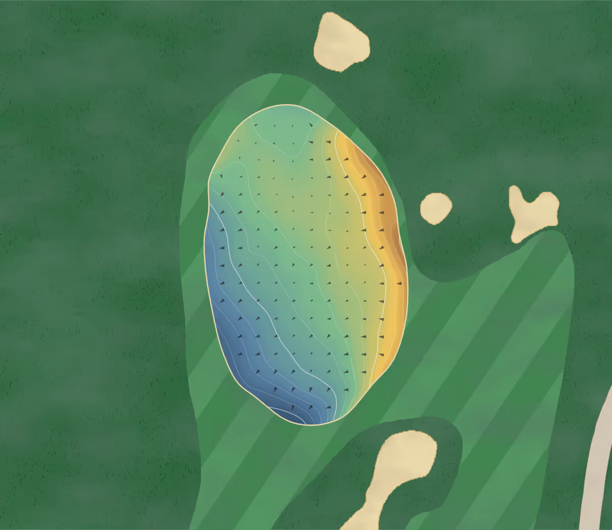 Green contour map of European in Co. Wicklow, Ireland: 13 elevation contours at a 8-centimeter interval with fall-line arrows, traced from 1-meter lidar