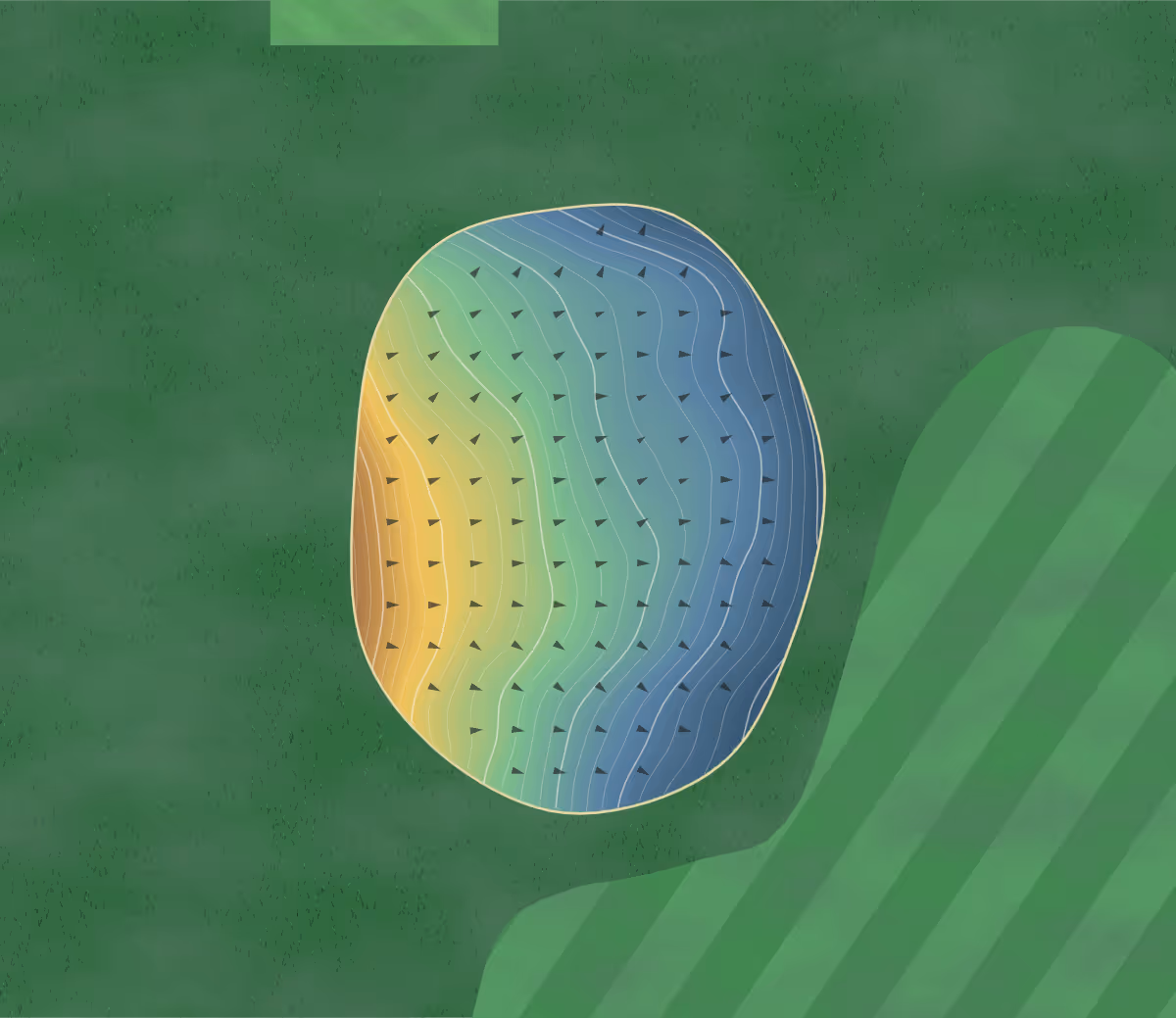 Green contour map of Evergreen Hills in Central Square, New York — 125 elevation contours at a 3-inch interval with fall-line arrows, traced from 1-meter lidar