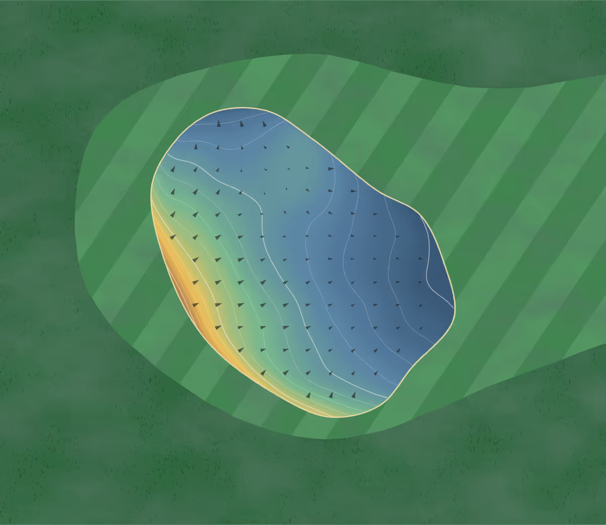 Green contour map of Evergreen Hills in Meadow Grove, Nebraska — 84 elevation contours at a 3-inch interval with fall-line arrows, traced from 1-meter lidar
