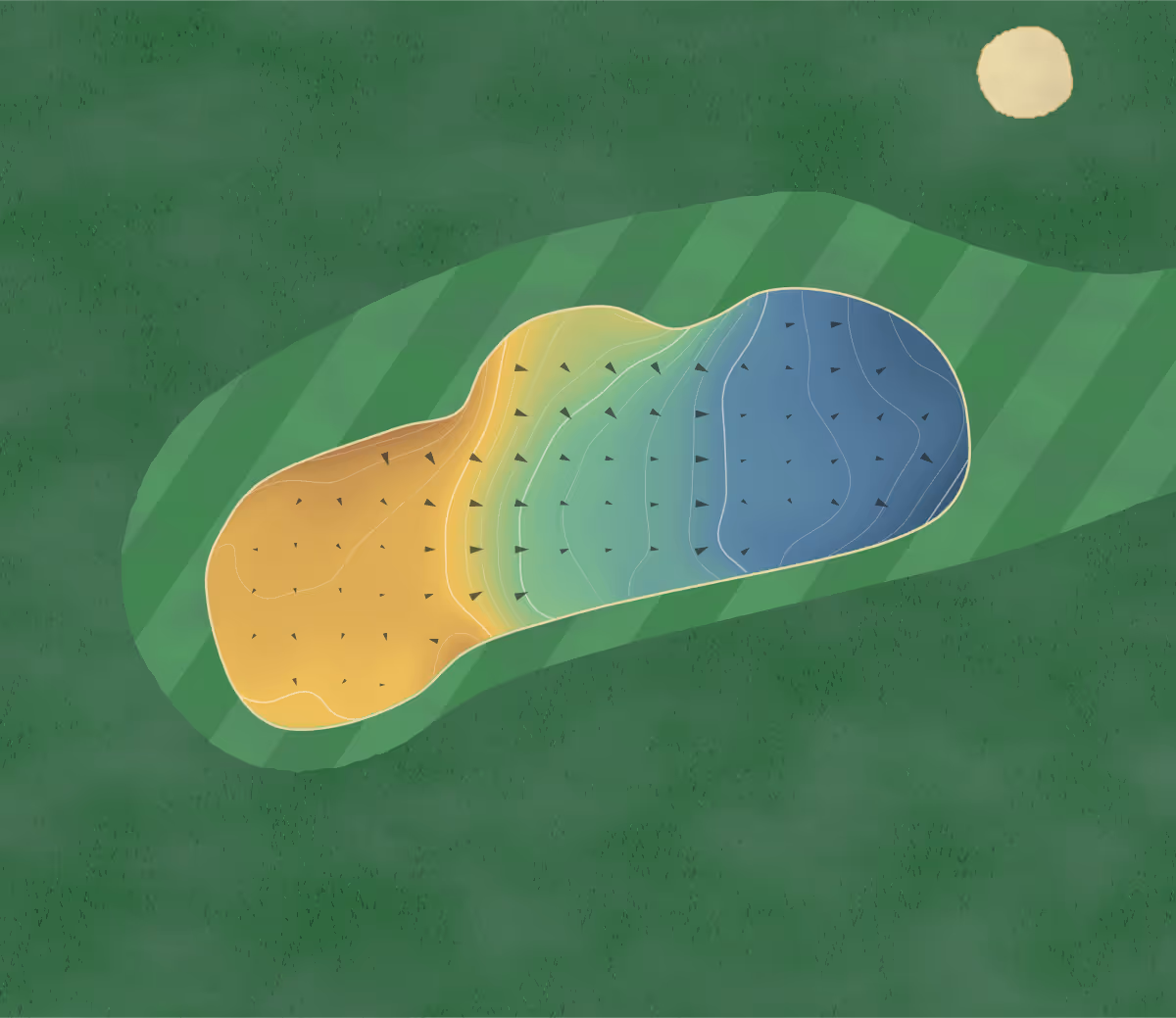 Green contour map of Fairview Estate in Aongatete, New Zealand — 122 elevation contours at a 8-centimeter interval with fall-line arrows, traced from 1-meter lidar