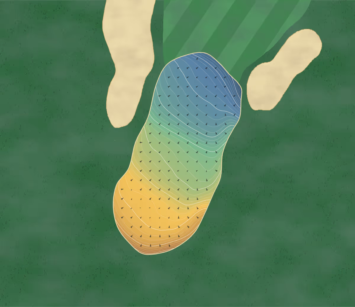 Green contour map of Fairview Mountain in Oliver, Canada — 319 elevation contours at a 8-centimeter interval with fall-line arrows, traced from 1-meter lidar