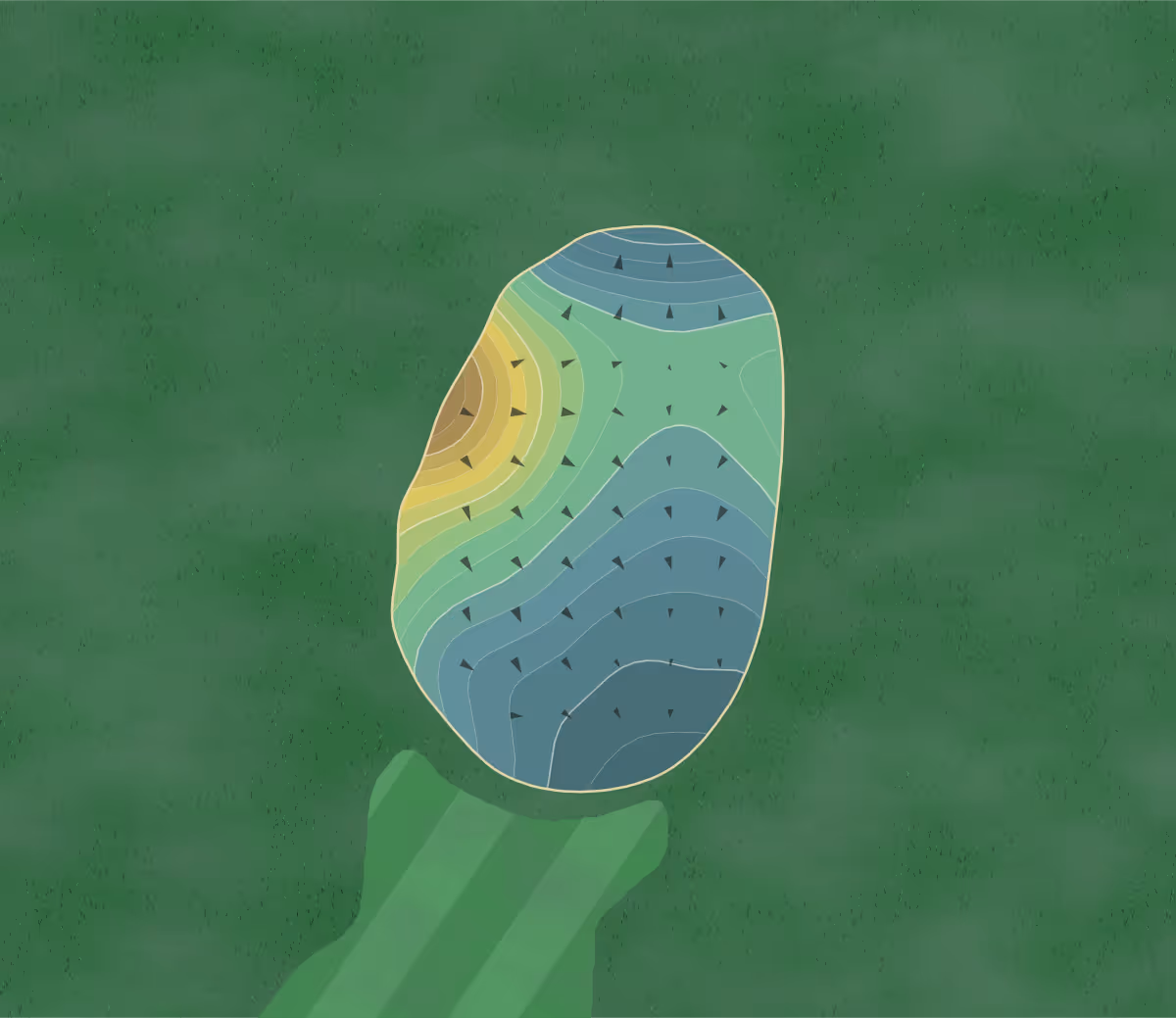 Green contour map of Fairway Golf Course in Wheatley, Kentucky — 232 elevation contours at a 3-inch interval with fall-line arrows, traced from 1-meter lidar