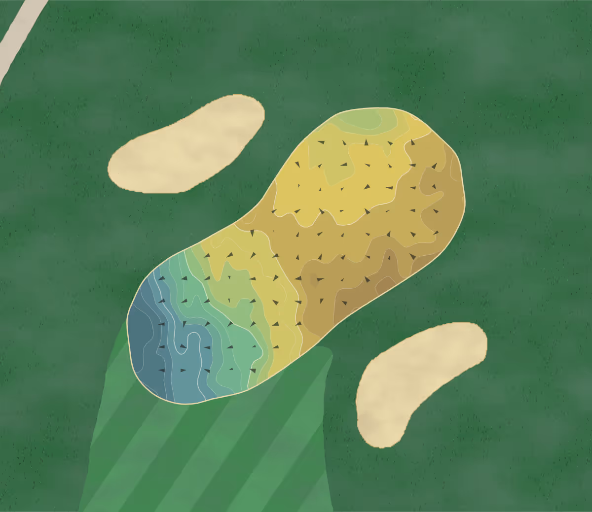 Green contour map of Farmington Woods in Avon, Connecticut — 259 elevation contours at a 3-inch interval with fall-line arrows, traced from 1-meter lidar
