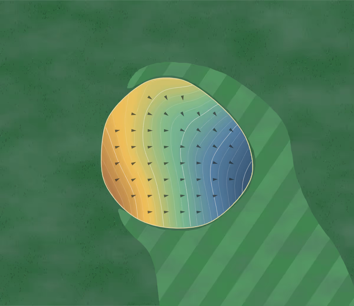 Green contour map of Fawn Crest in Wellston, Michigan: 62 elevation contours at a 3-inch interval with fall-line arrows, traced from 1-meter lidar