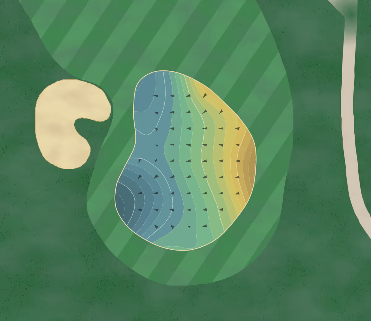 Green contour map of Fayetteville CC in Fayetteville, Arkansas — 218 elevation contours at a 3-inch interval with fall-line arrows, traced from 1-meter lidar