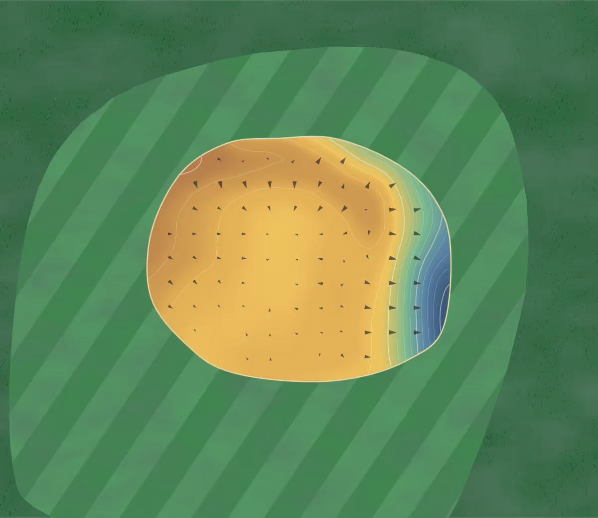 Green contour map of Kingsfleet Course in Felixstowe, England: 75 elevation contours at a 8-centimeter interval with fall-line arrows, traced from 1-meter lidar