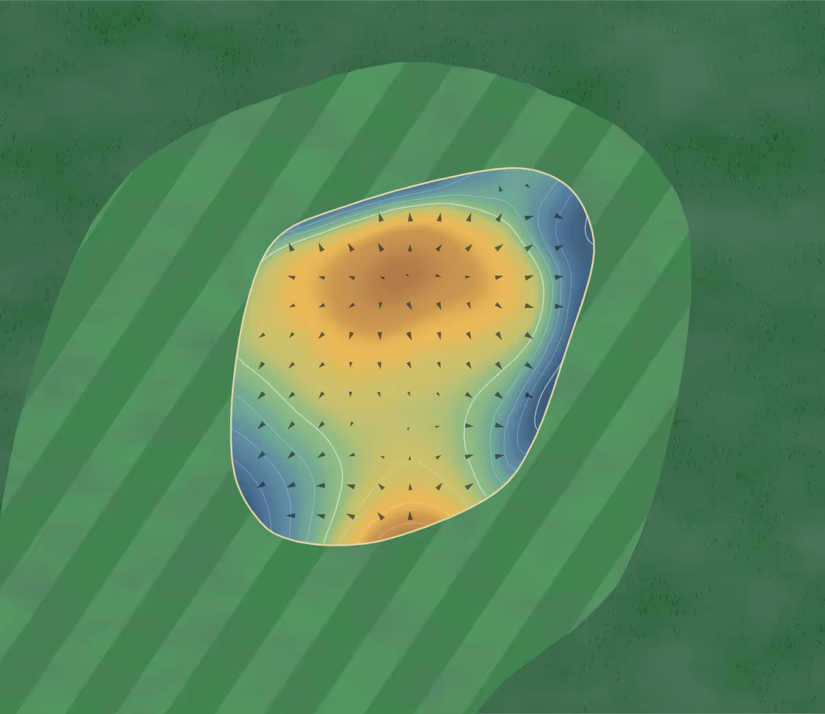 Green contour map of Kingsfleet Course in Felixstowe, England — 132 elevation contours at a 8-centimeter interval with fall-line arrows, traced from 1-meter lidar