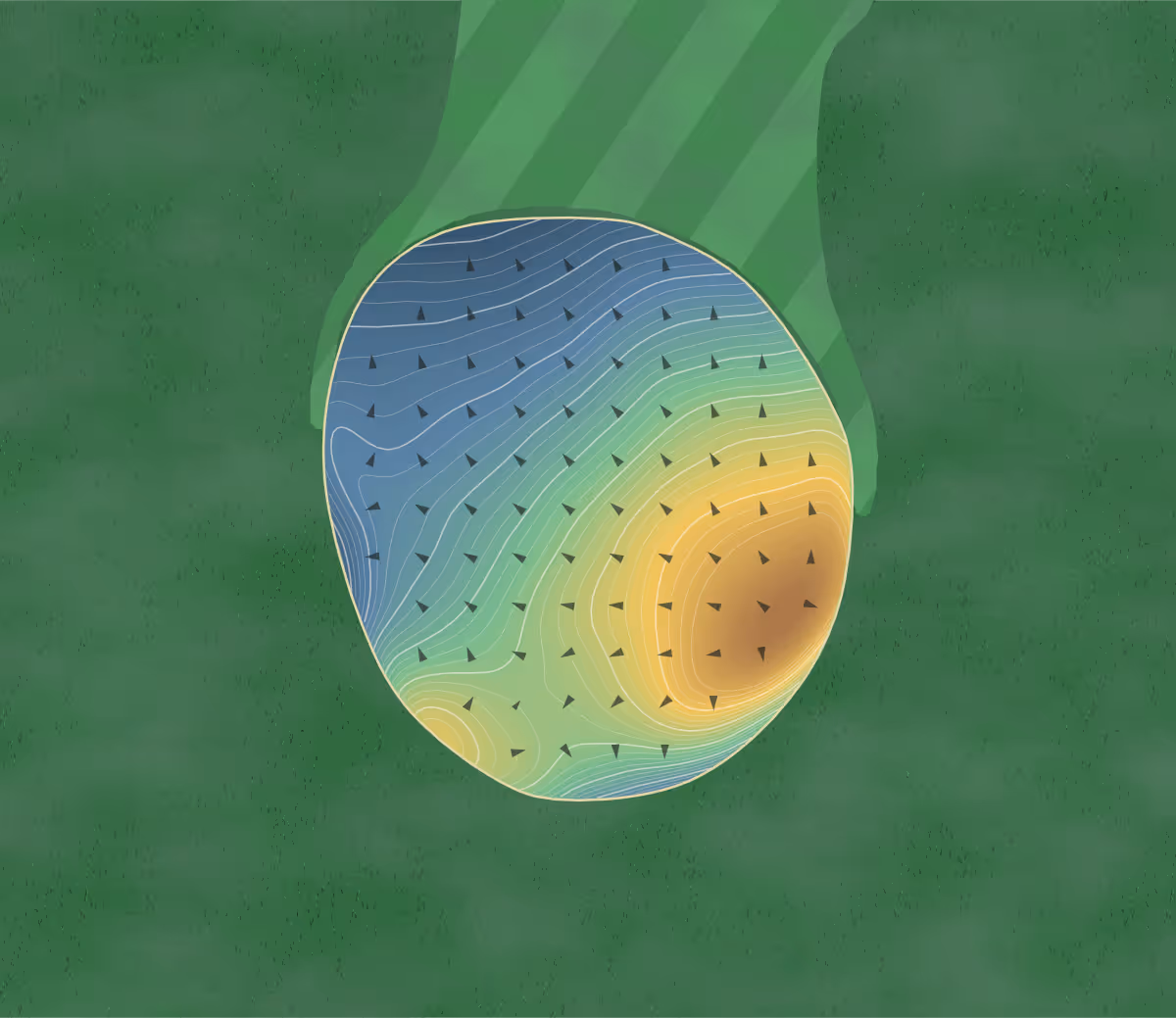 Green contour map of Fendrich in Evansville, Indiana: 624 elevation contours at a 3-inch interval with fall-line arrows, traced from 1-meter lidar