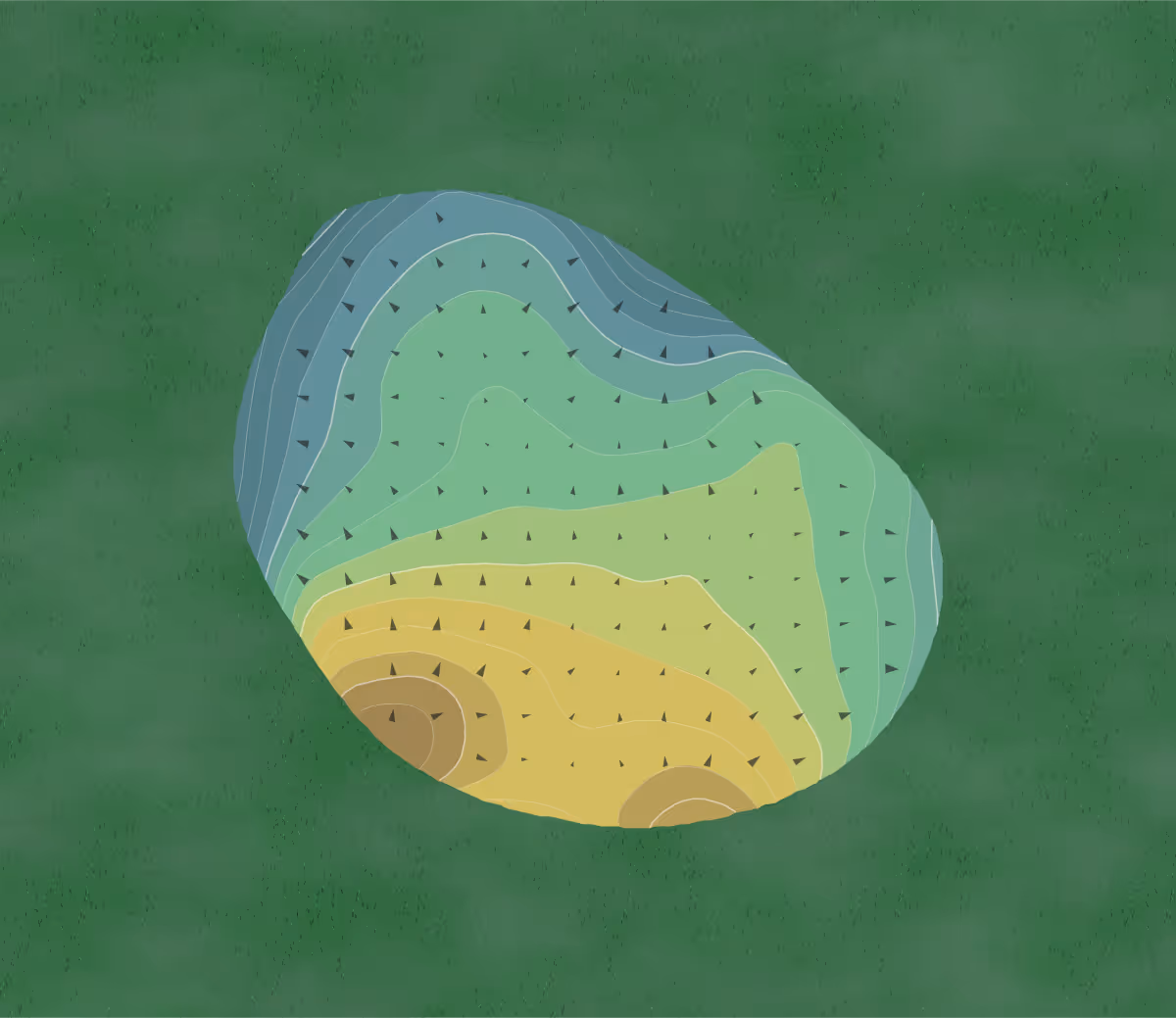 Green contour map of Fernandina Beach in Fernandina Beach, Florida — 142 elevation contours at a 3-inch interval with fall-line arrows, traced from 1-meter lidar