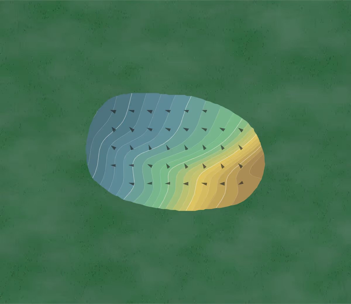 Green contour map of Ferndale in Rushford, Minnesota — 97 elevation contours at a 3-inch interval with fall-line arrows, traced from 1-meter lidar