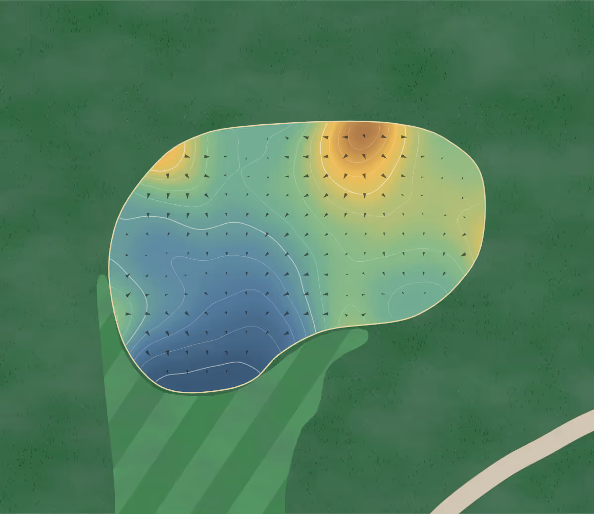 Green contour map of Fernie in Fernie, Canada — 207 elevation contours at a 8-centimeter interval with fall-line arrows, traced from 1-meter lidar