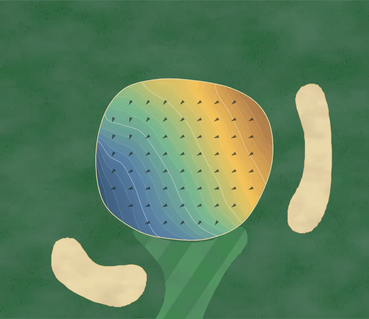 Green contour map of Field Club of Omaha in Omaha, Nebraska: 148 elevation contours at a 3-inch interval with fall-line arrows, traced from 1-meter lidar