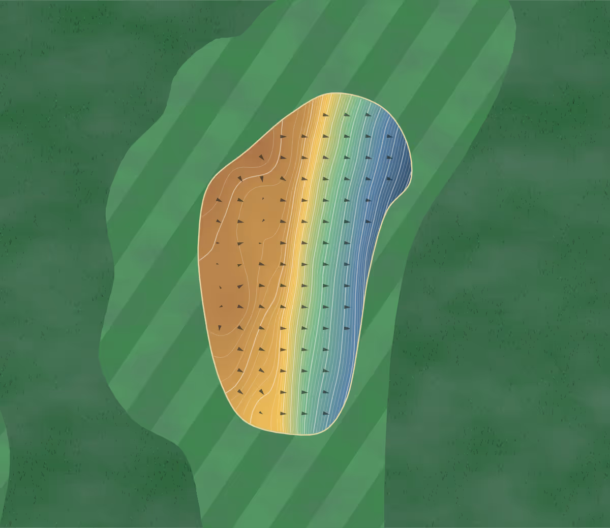 Green contour map of Fields Ranch in Frisco, Texas: 348 elevation contours at a 3-inch interval with fall-line arrows, traced from 1-meter lidar