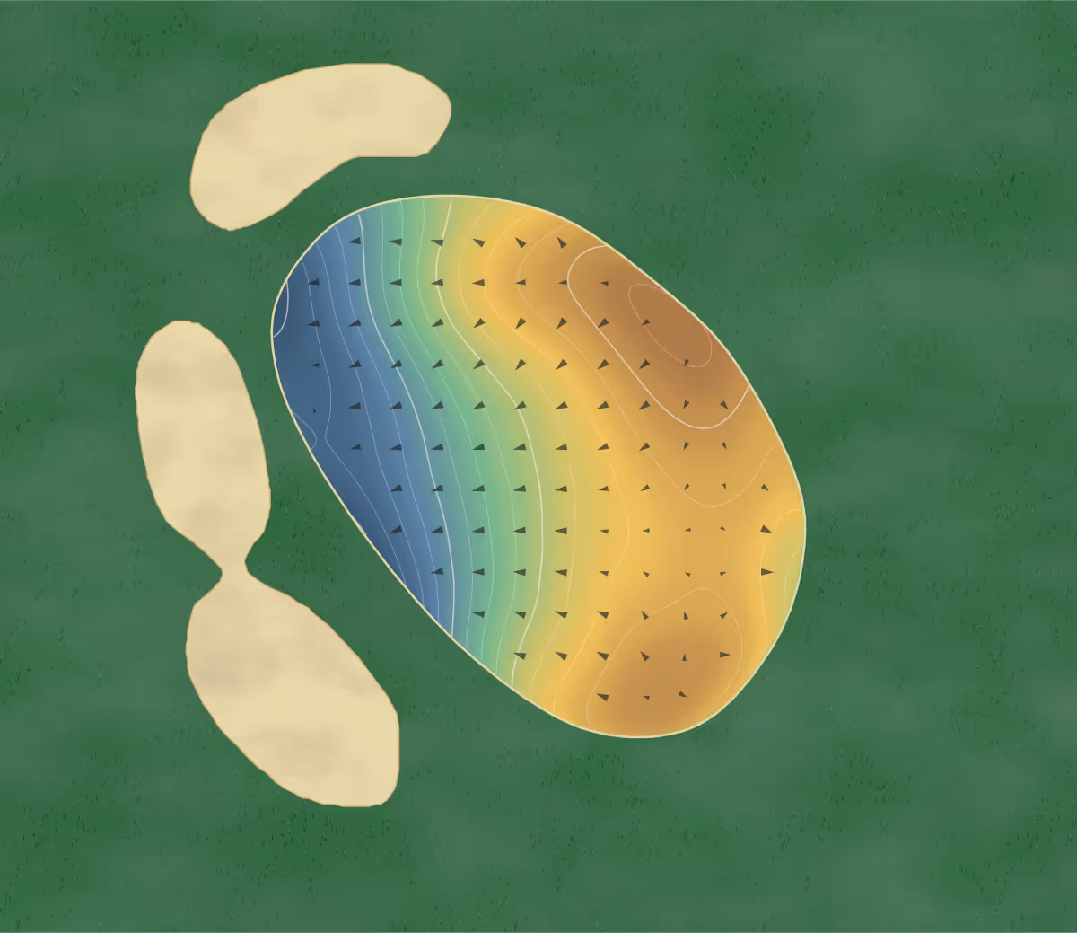 Green contour map of Firefly in Seekonk, Massachusetts: 211 elevation contours at a 3-inch interval with fall-line arrows, traced from 1-meter lidar